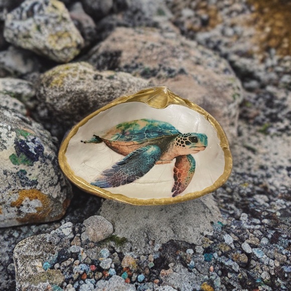 Colorful Sea Turtle Gift Shell - Picture 5 of 5